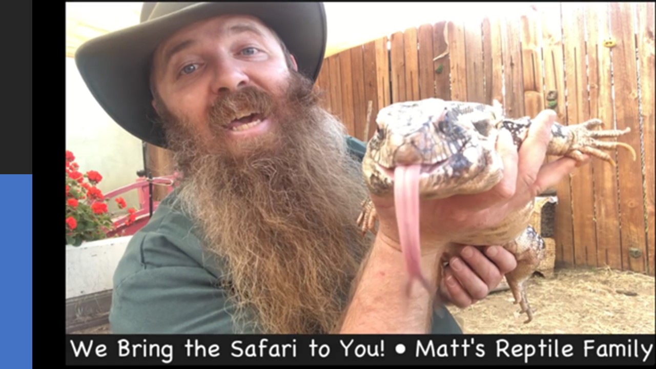 Matt’s Reptile Family and their Virtual Safari!