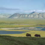 "Public Trust: The Fight for America's Public Lands" - Panel Discussion