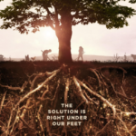 Saving the Earth by Saving the Earth